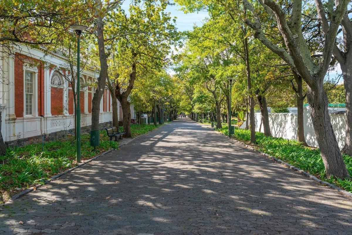 Apartment Cosy, Central, Homely Feel Cape Town